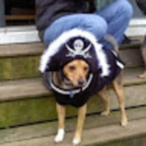 Meet your Posher, Bill